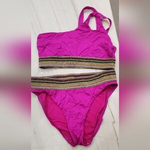 Gibson Latimer Vibrant Fusia Bikini with Striped Band